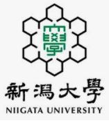 2022年新潟大学日本史の傾向と対策